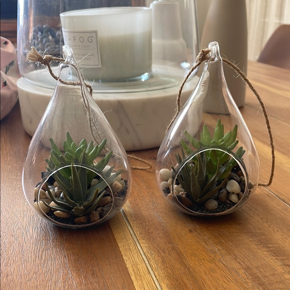Glass Hanging Terrarium with Green Succulents